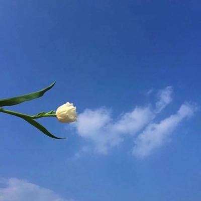 飞吧史莱姆手游下载